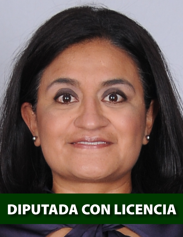 Diputada-Alavez-Ruiz-Aleida-licencia